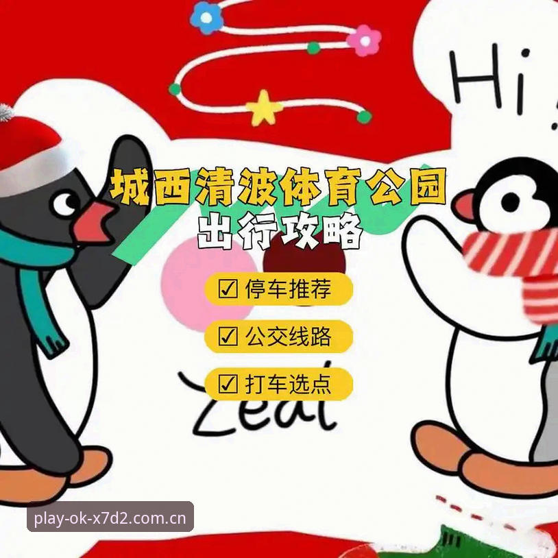 OK体育平台体验详解：从下载到实战的完整指南